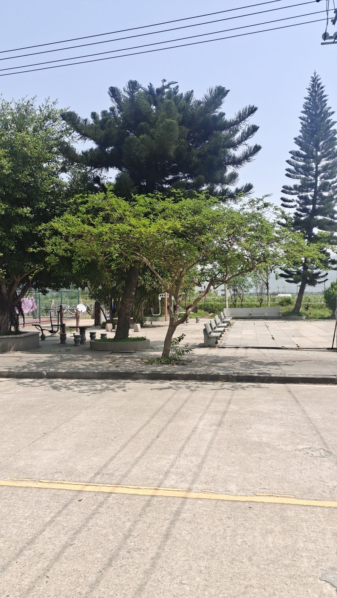 东岱南门公园旅行图片 3