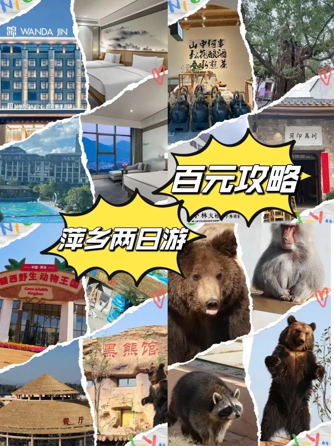 萍乡动物园旅行图片 3