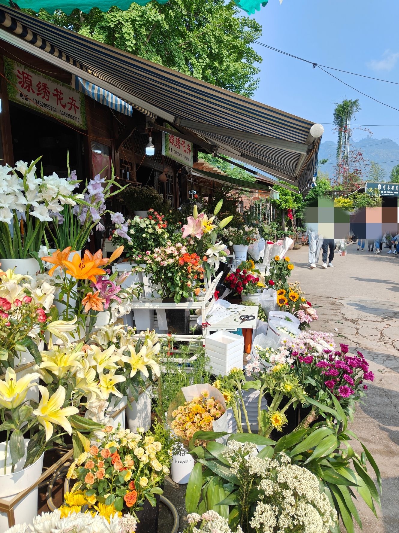 北碚花市