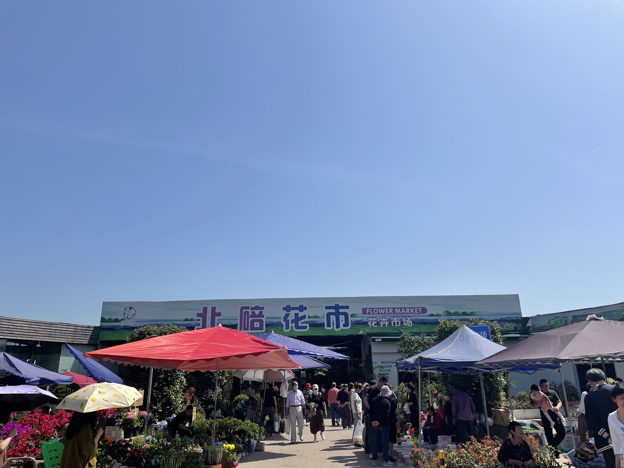 北碚花市