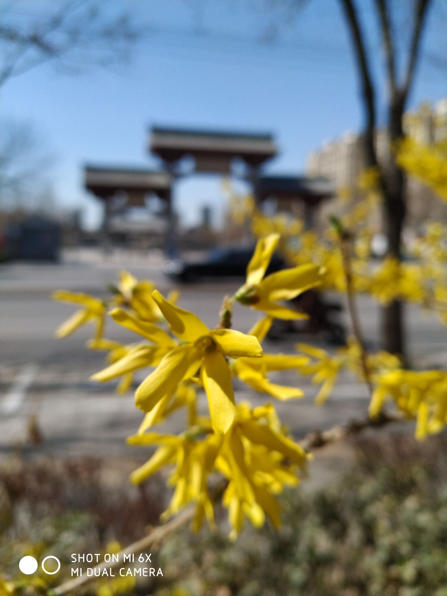 孔颖达文化公园旅行图片 1