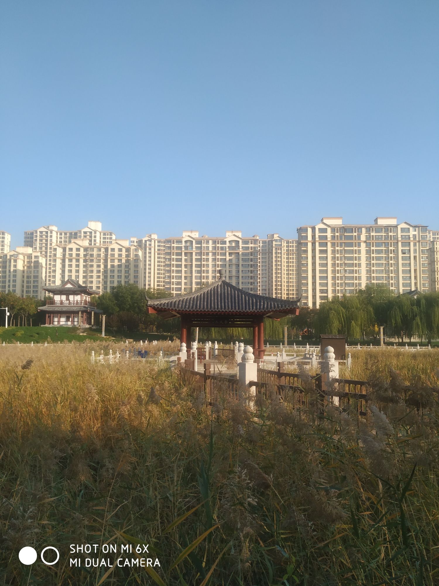 孔颖达文化公园旅行图片 3