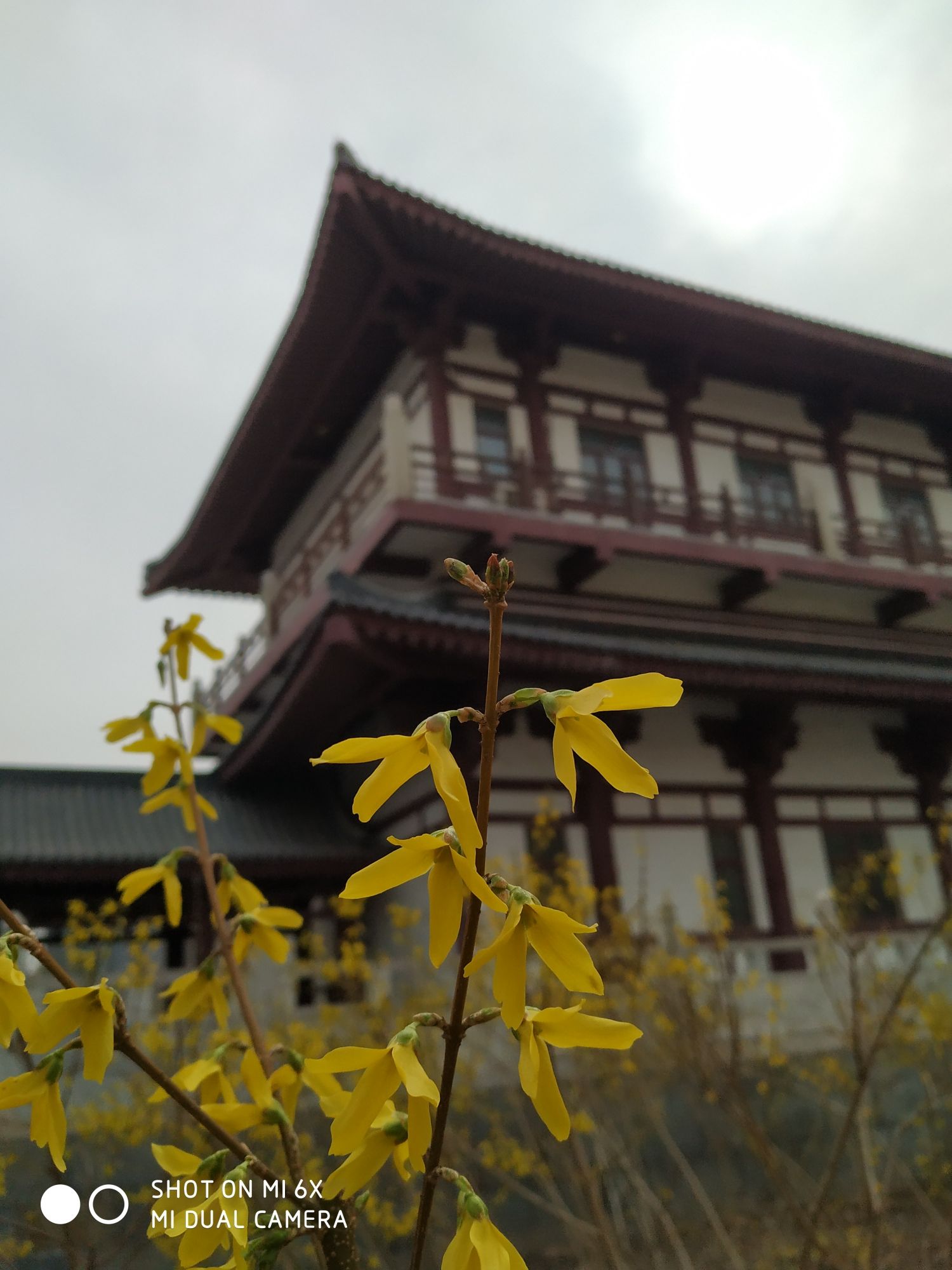 孔颖达文化公园旅行图片 2