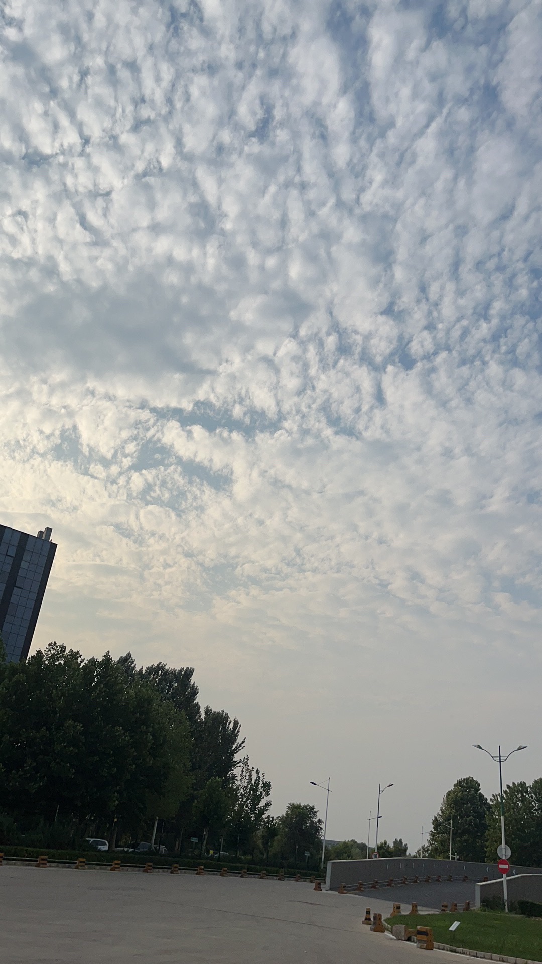 小东流公园旅行图片 2