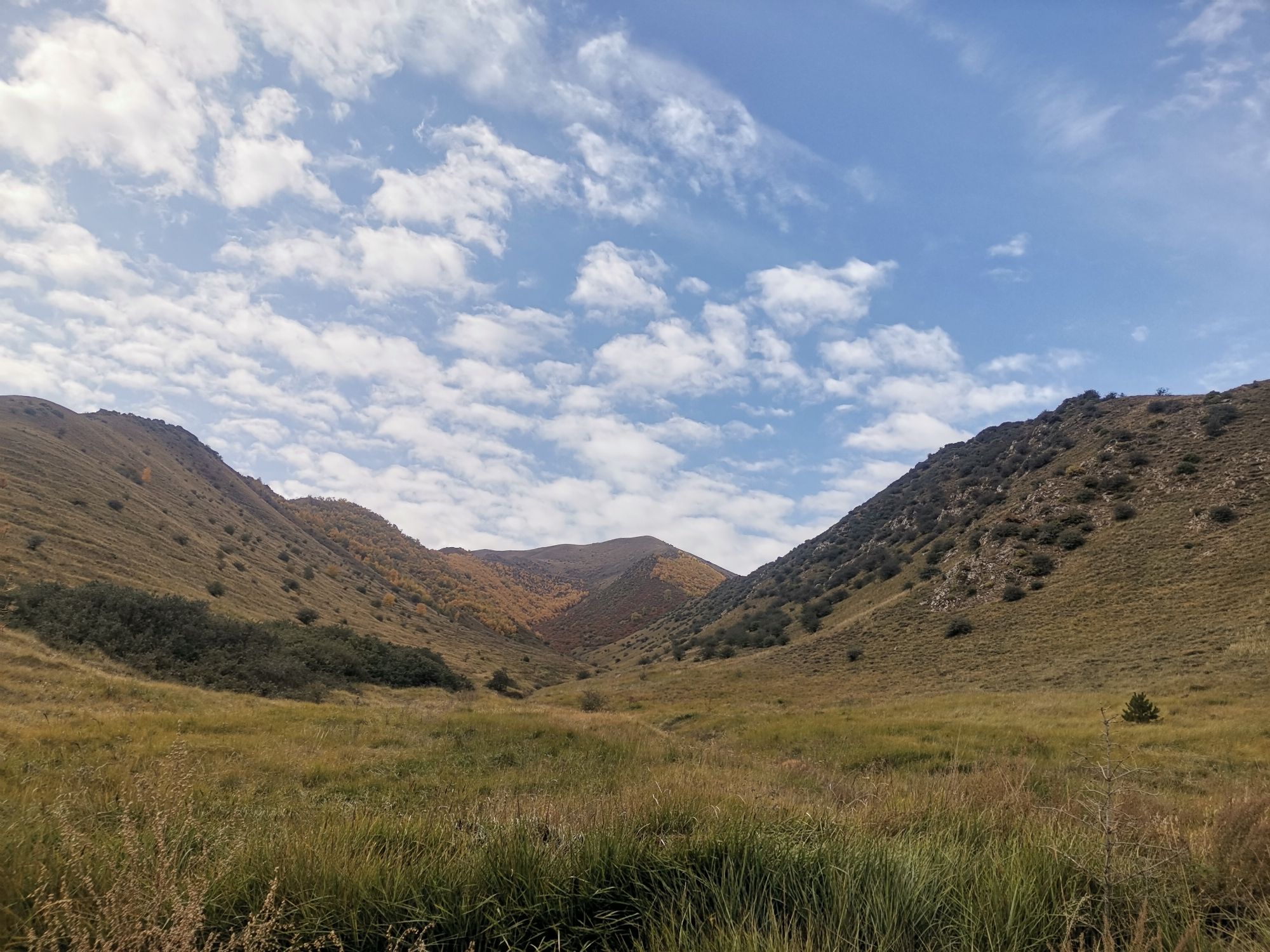 屈吴山