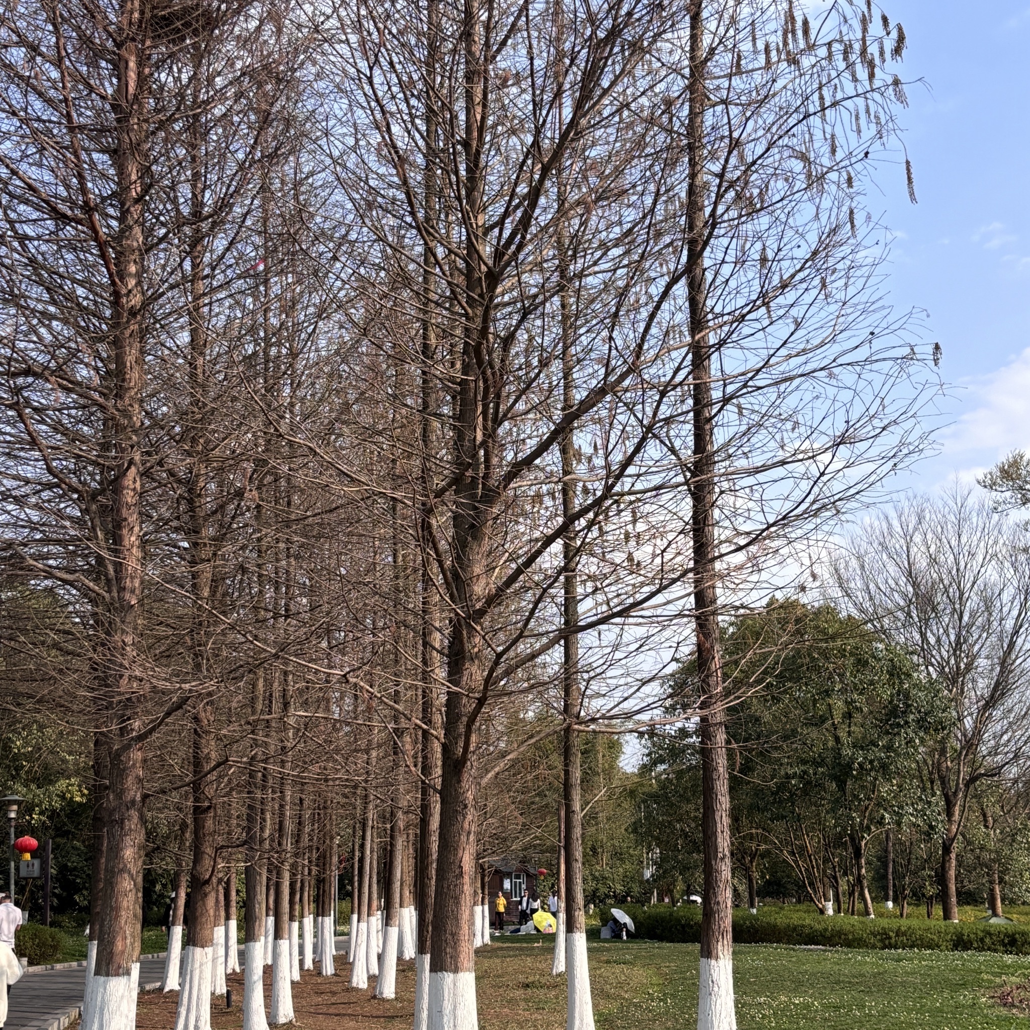 白鹭湖公园旅行图片 2