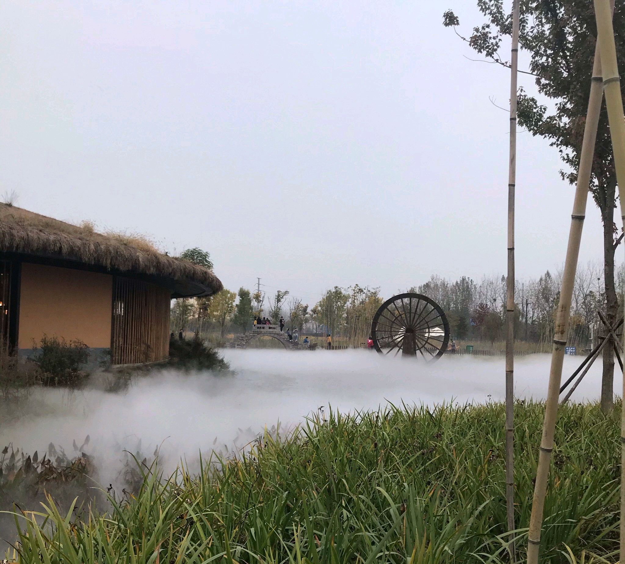 道源国家湿地公园旅行图片 1