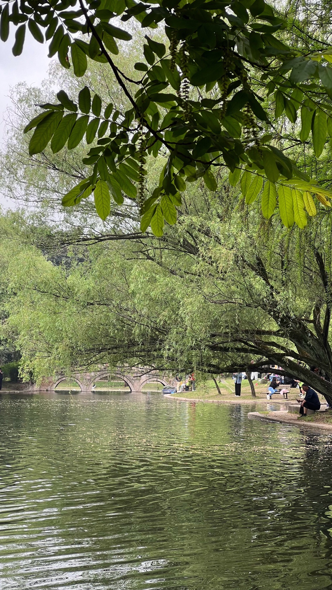 西港公园旅行图片 3