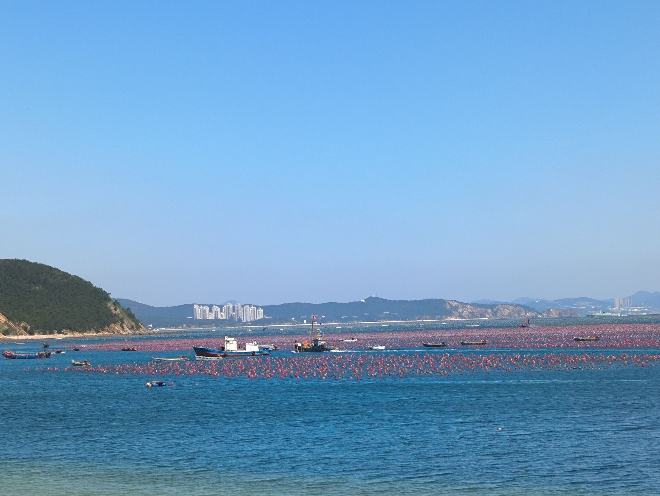 柏栏子沙滩旅行图片 3