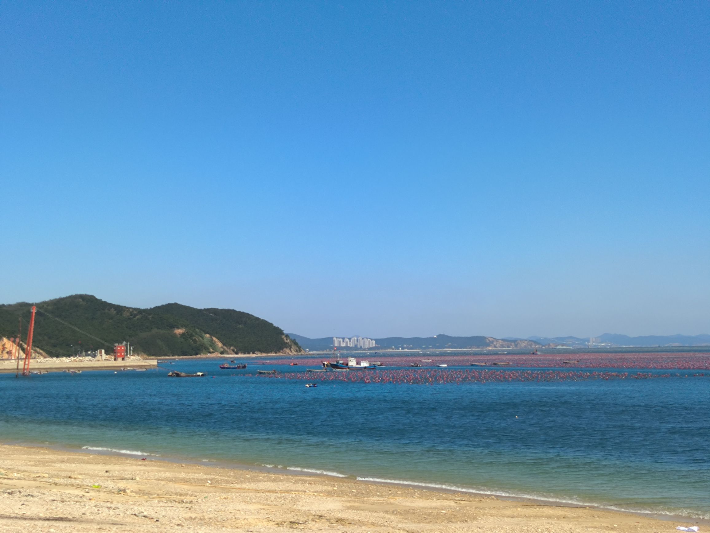 柏栏子沙滩旅行图片 2
