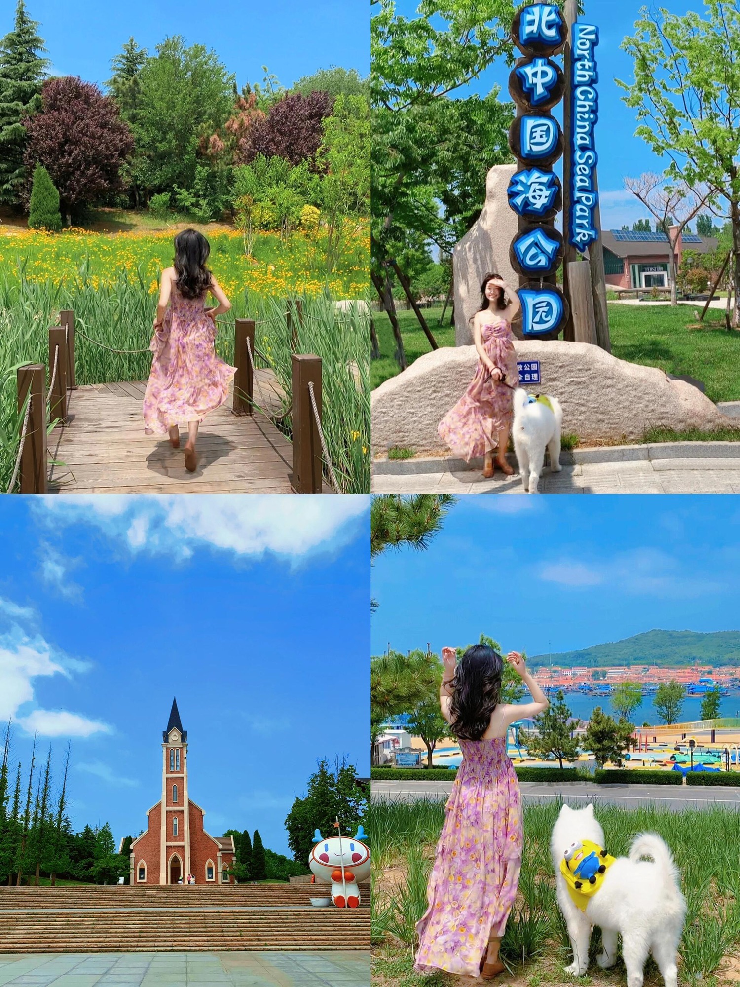 北中国海公园旅行图片 1