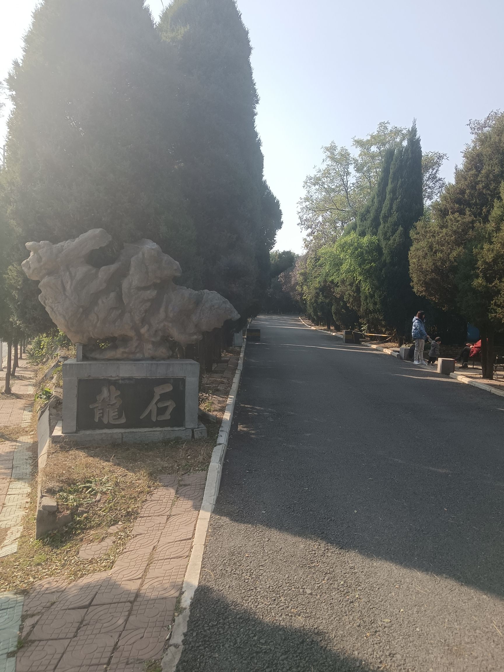 二程文化园旅行图片 3
