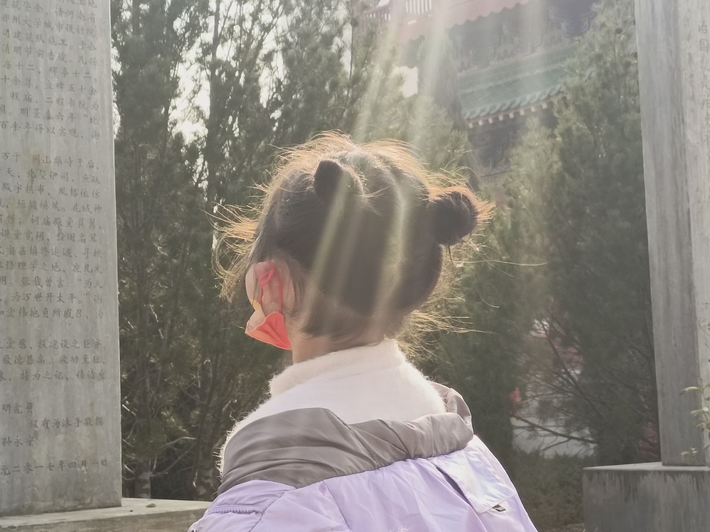 二程文化园旅行图片 1