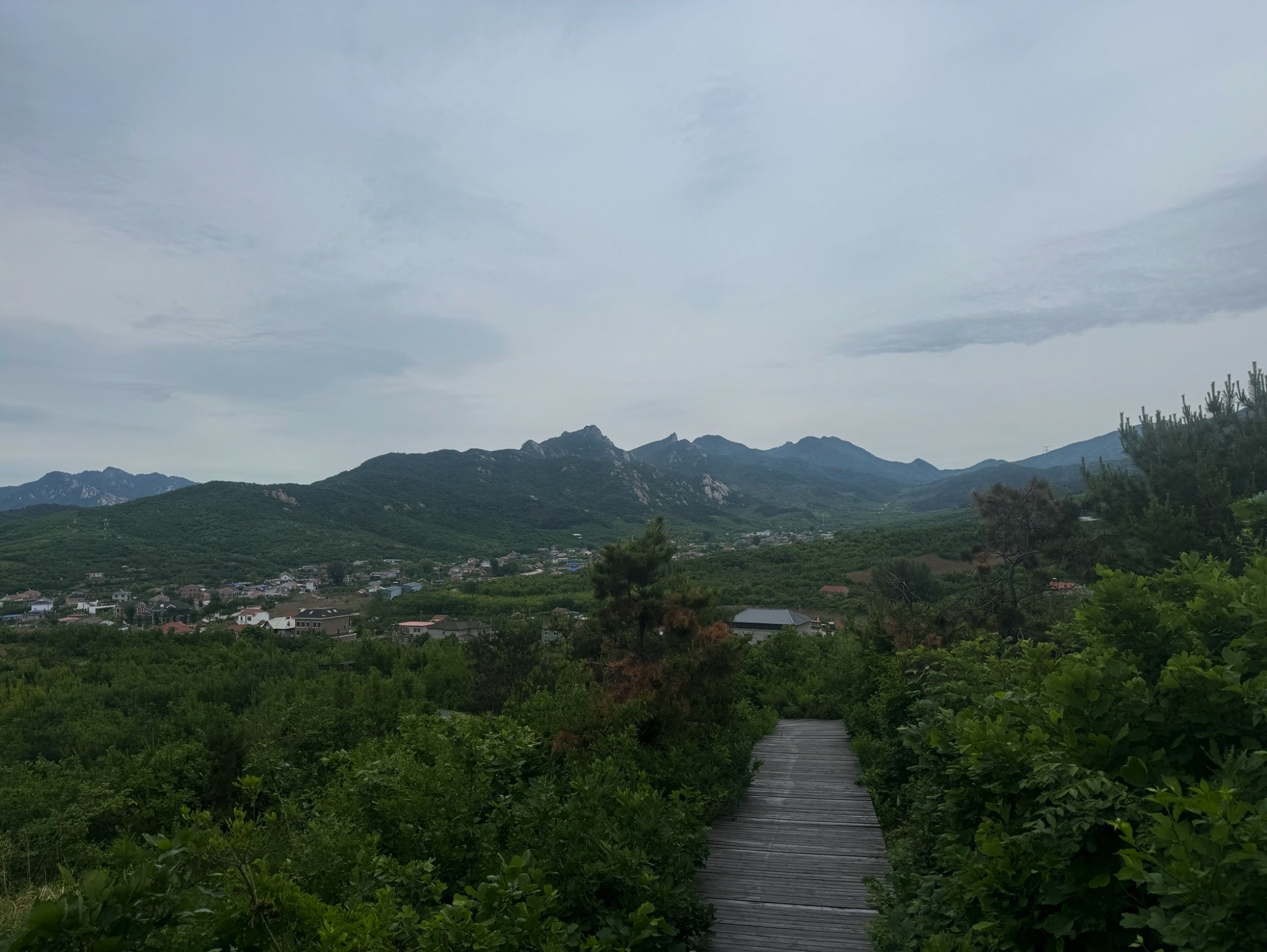 乾隆绿道旅行图片 1
