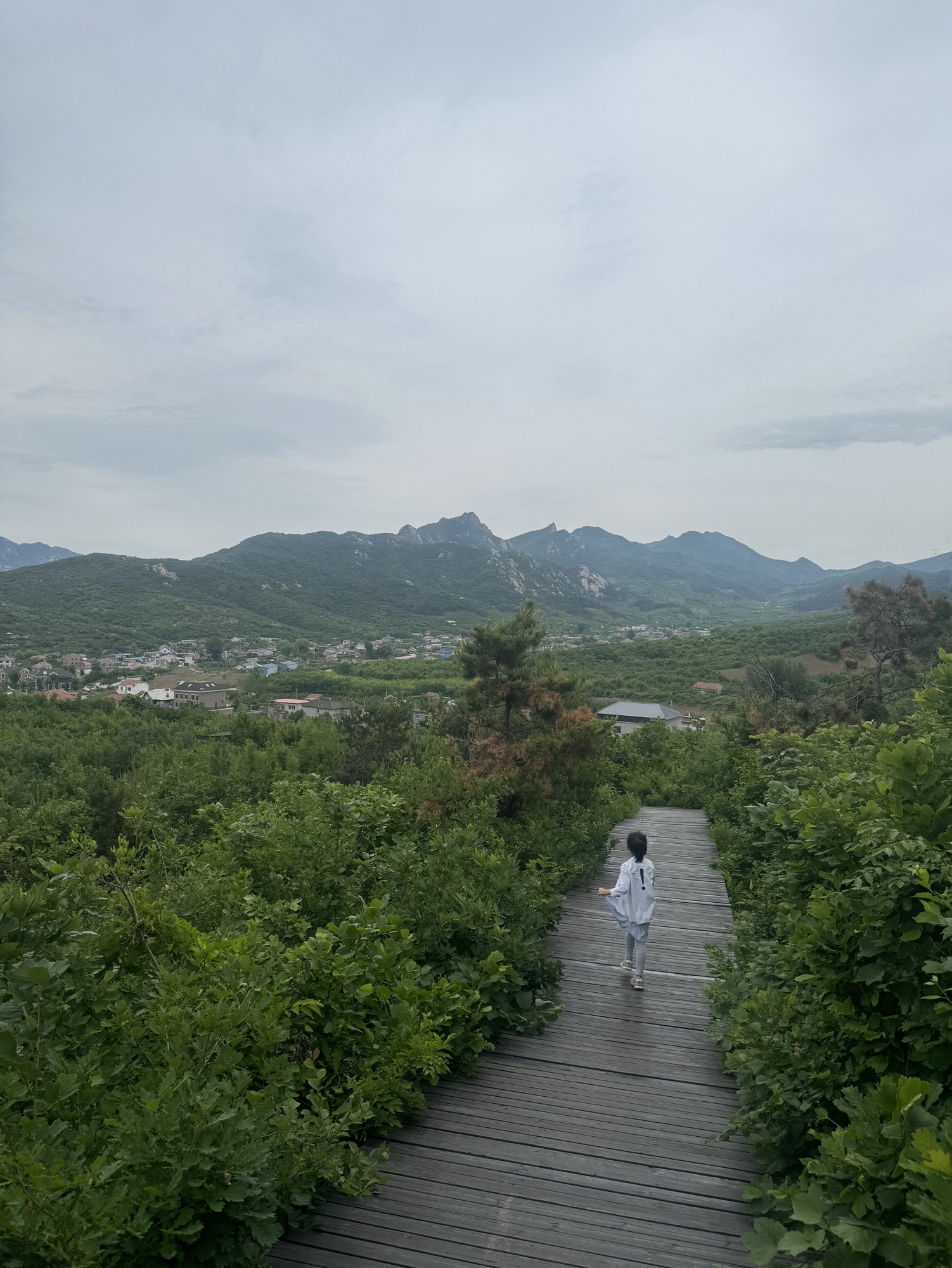 乾隆绿道旅行图片 2