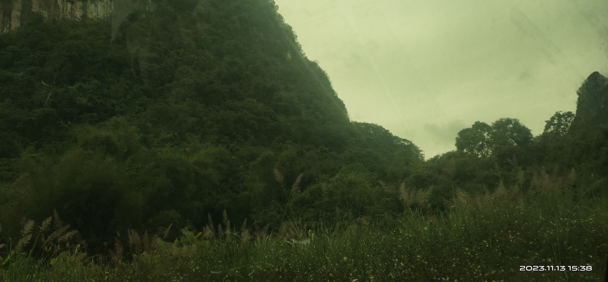 水上相思林旅行图片 2