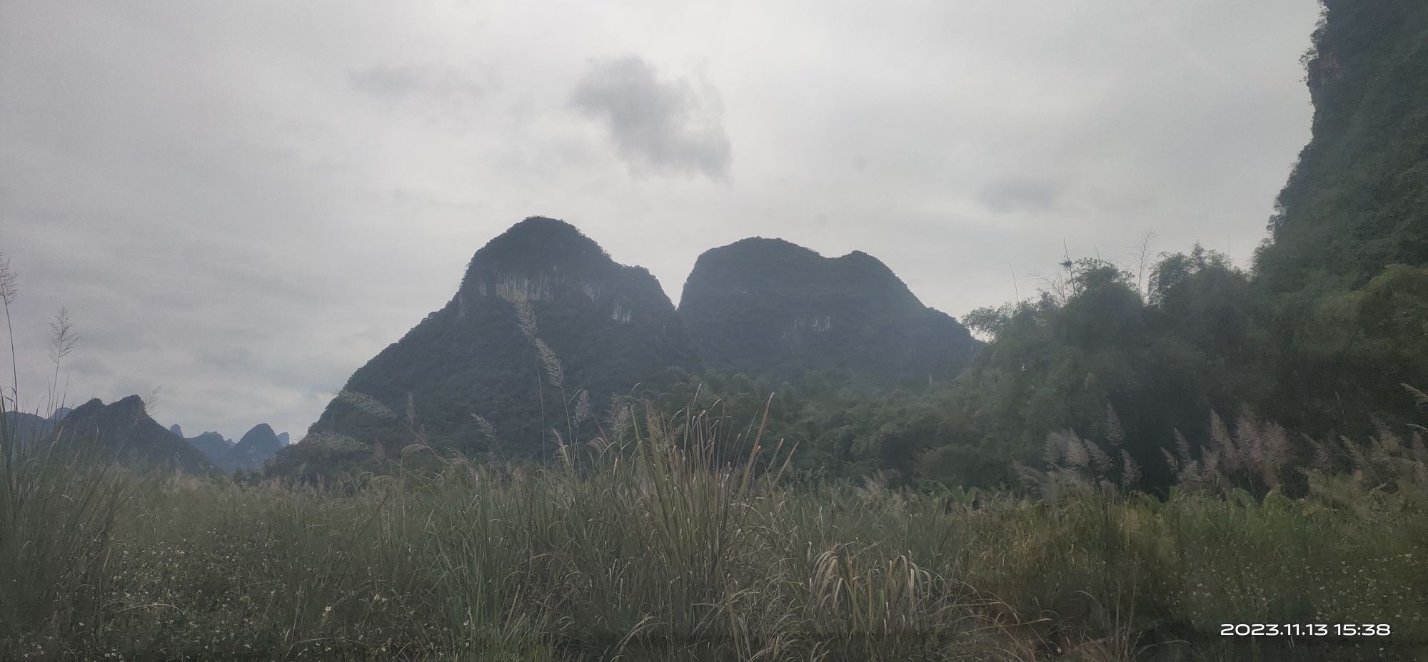 水上相思林旅行图片 1