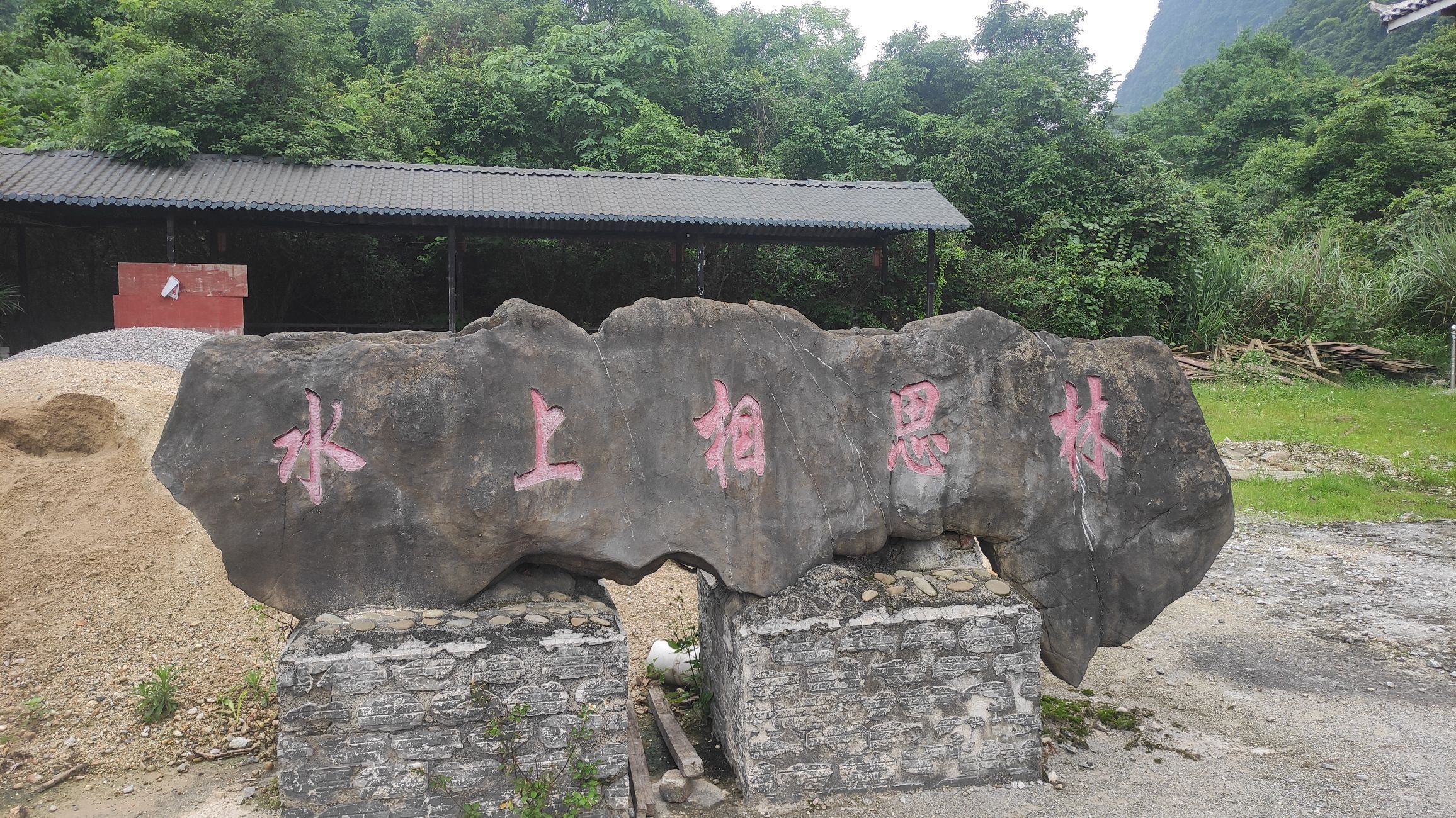 水上相思林旅行图片 1