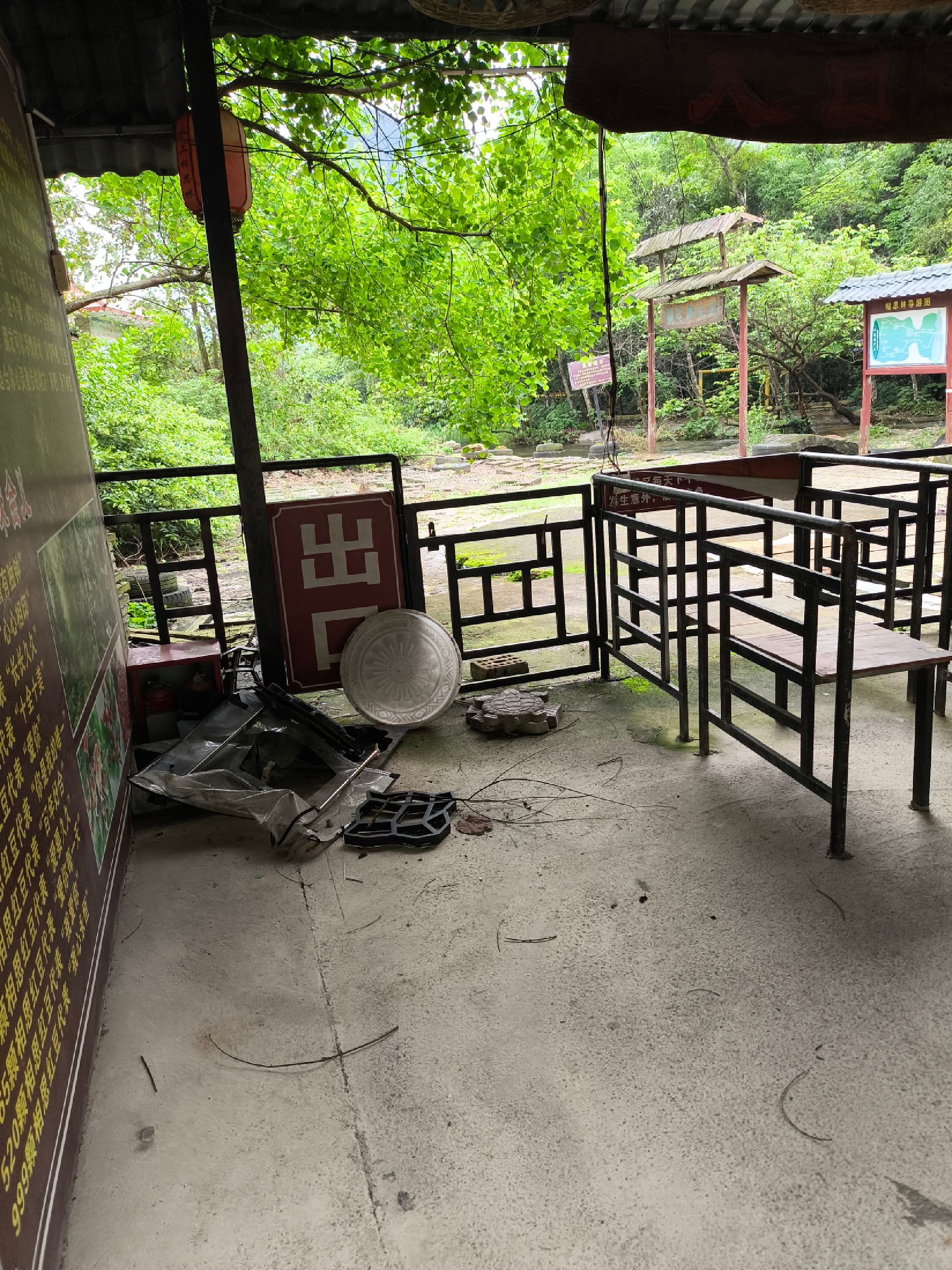 水上相思林旅行图片 2