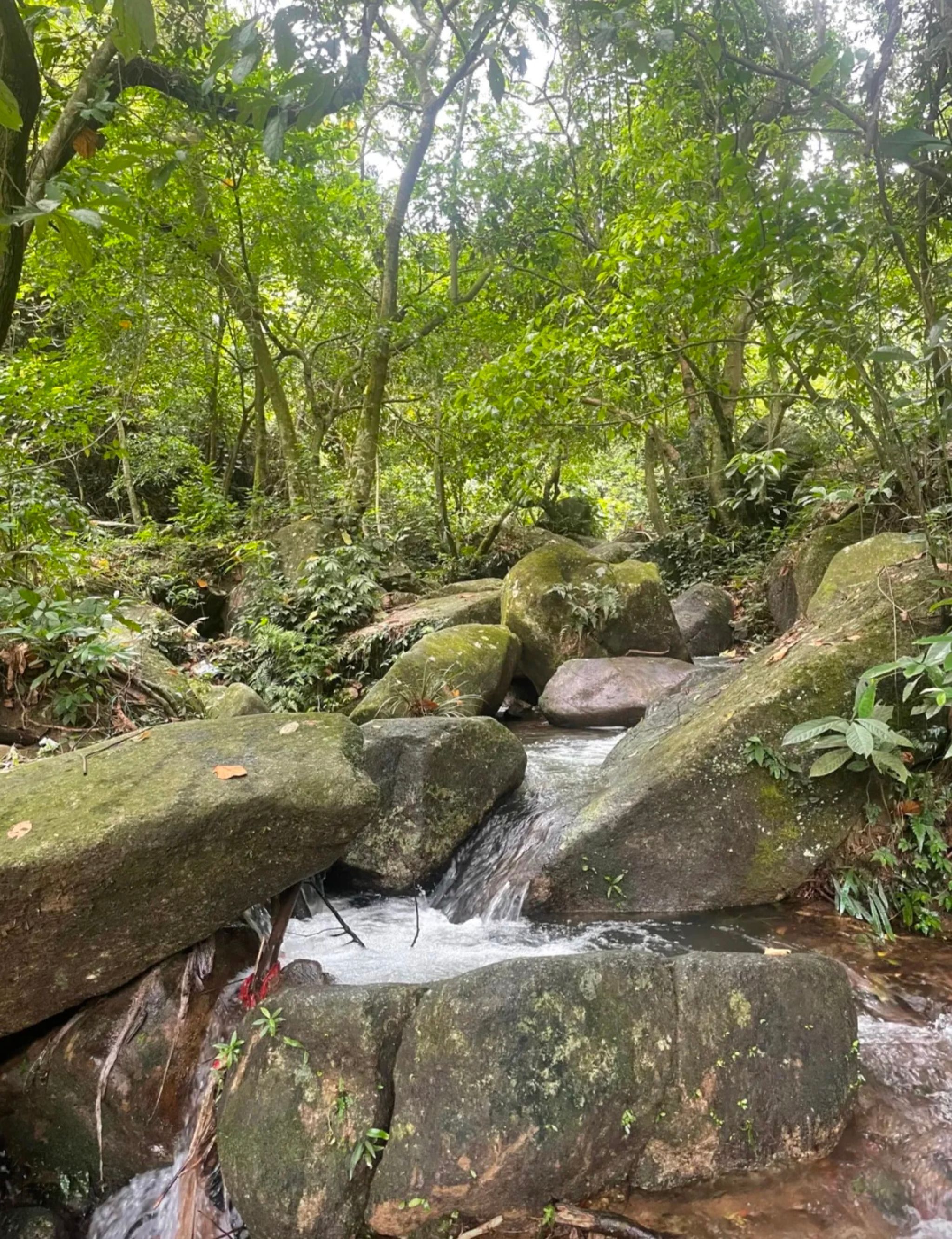 容县大水生态旅游区旅行图片 1
