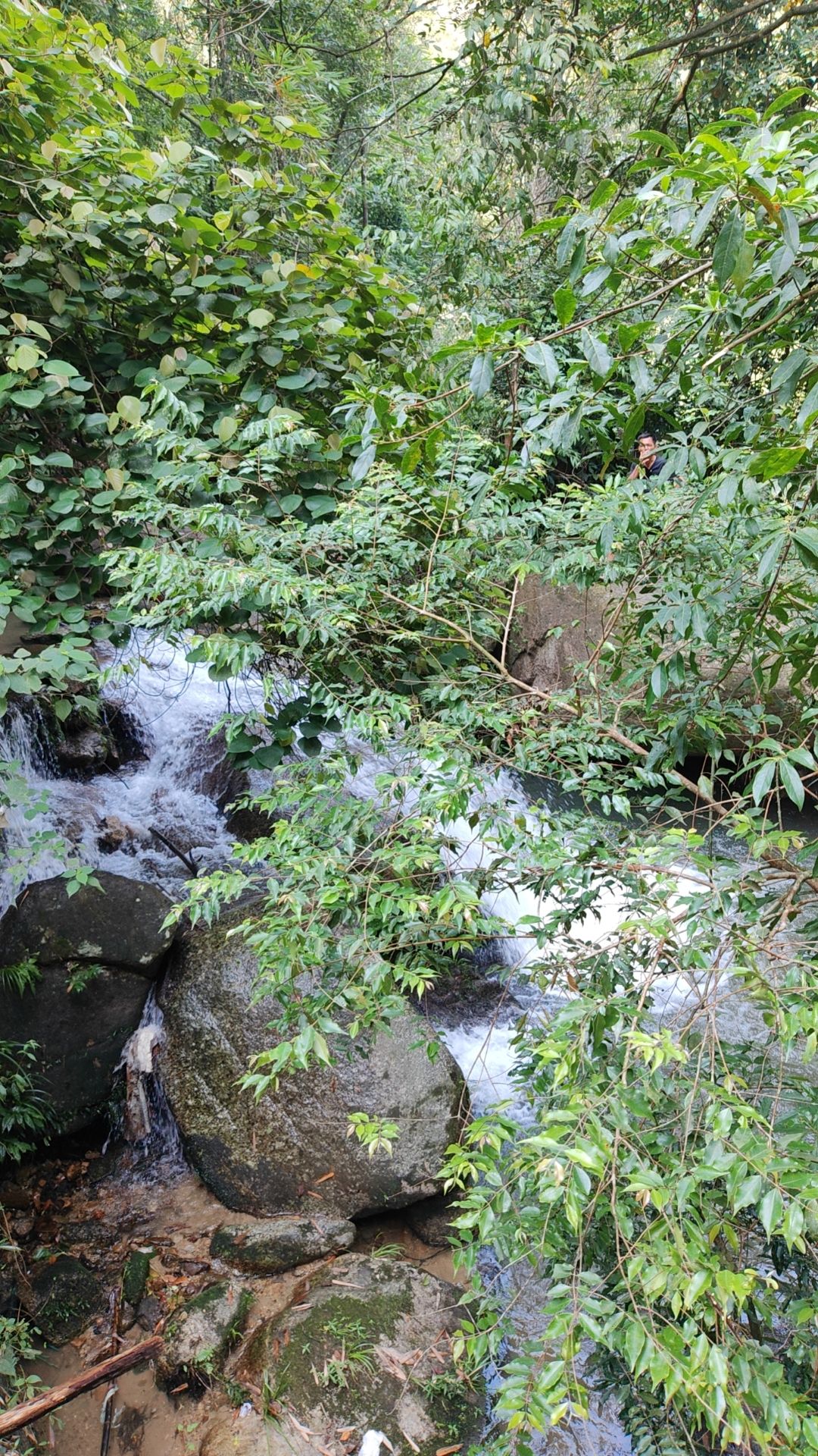 容县大水生态旅游区旅行图片 2