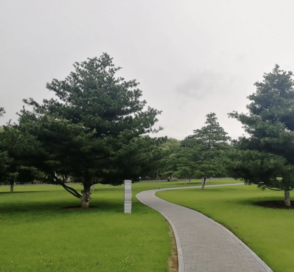 青云湖公园旅行图片 2