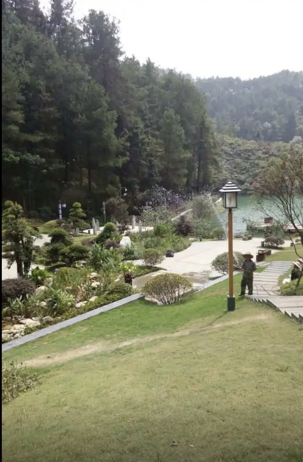 青云湖公园旅行图片 1