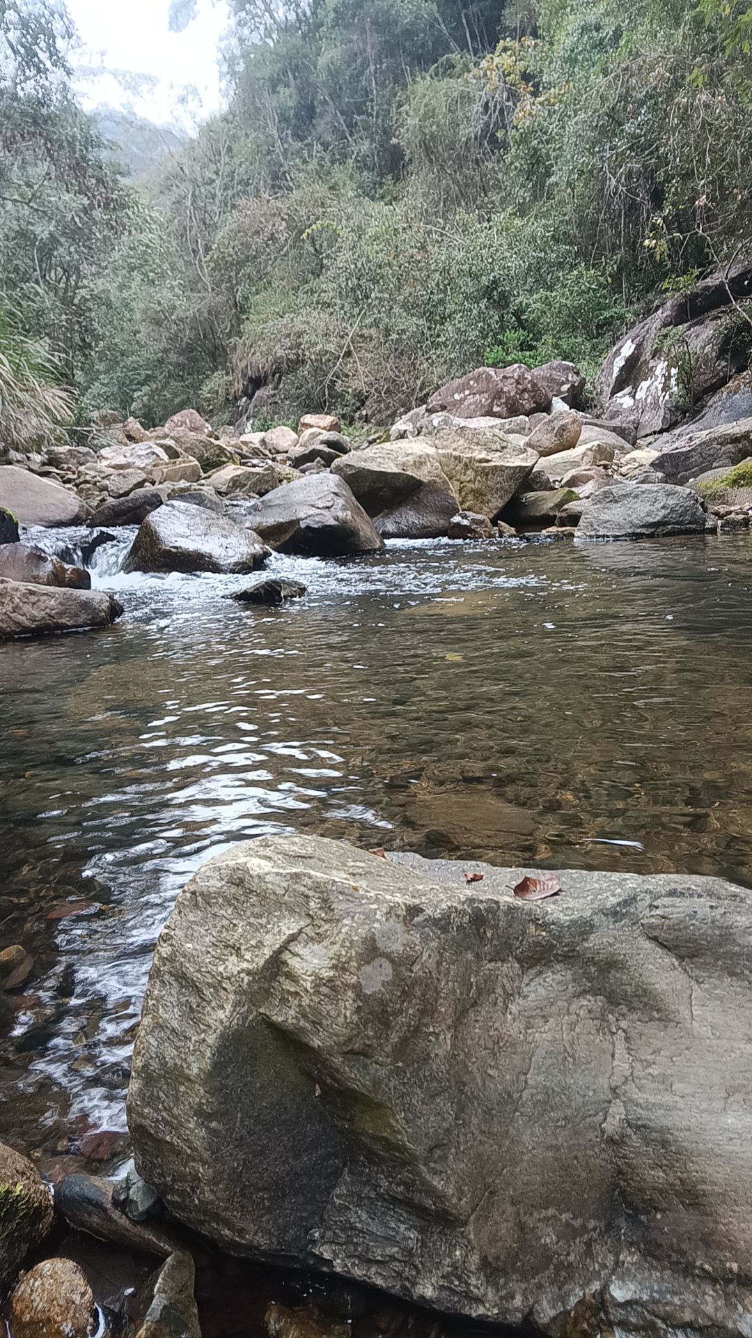 岩前镇蝴蝶谷旅行图片 2