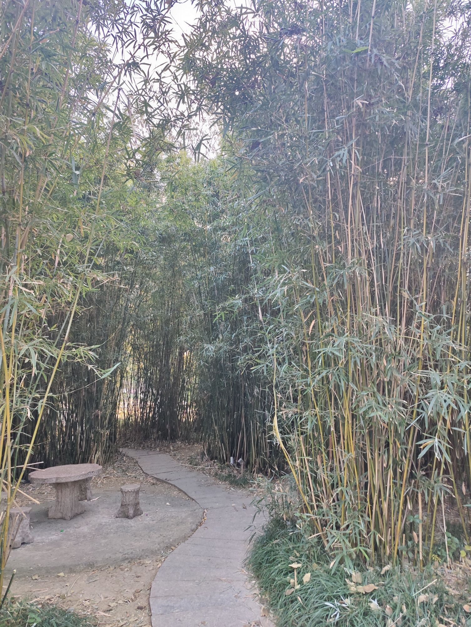 佳和公园旅行图片 3