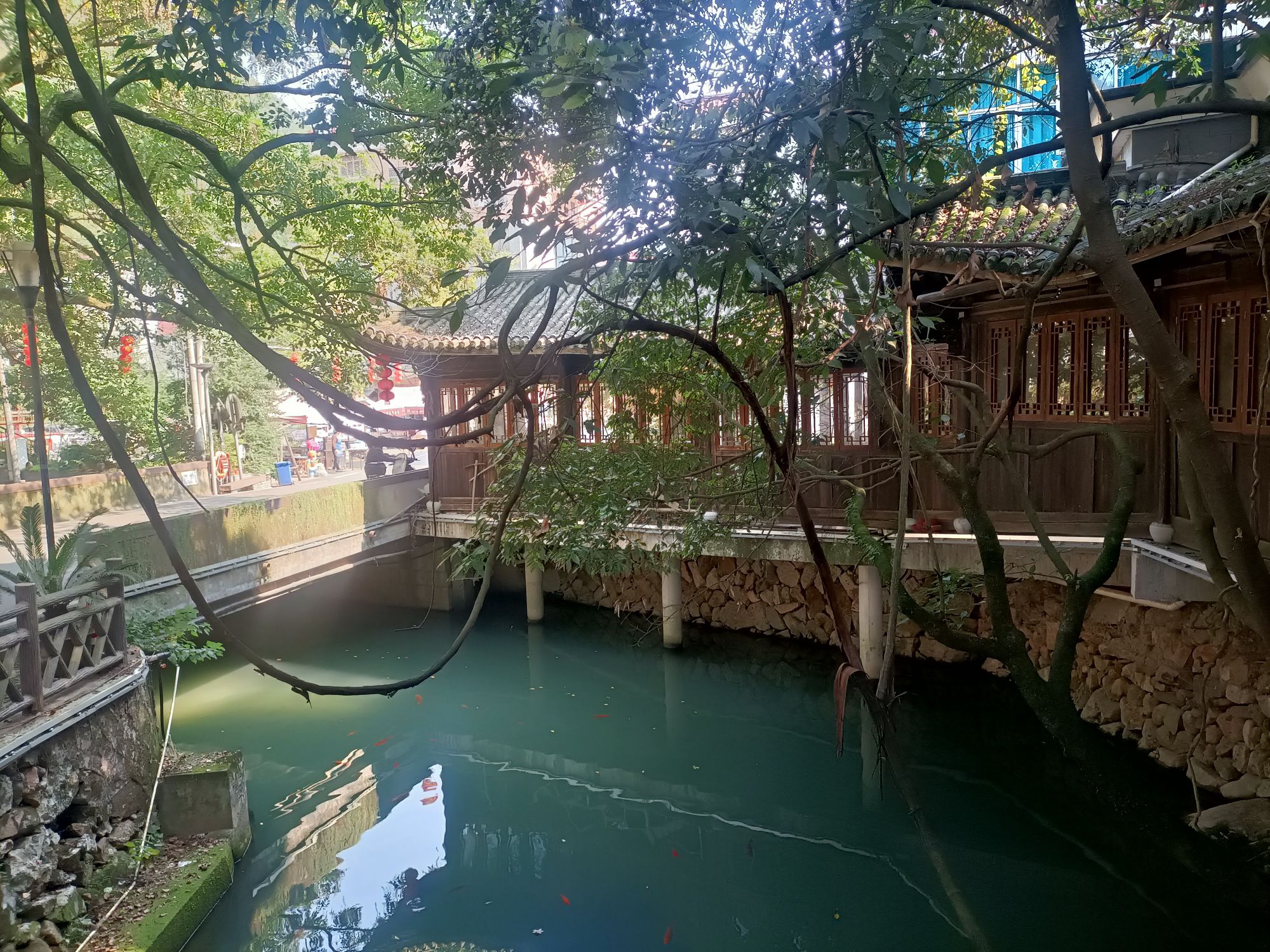 喻斯生态旅游景区旅行图片 3