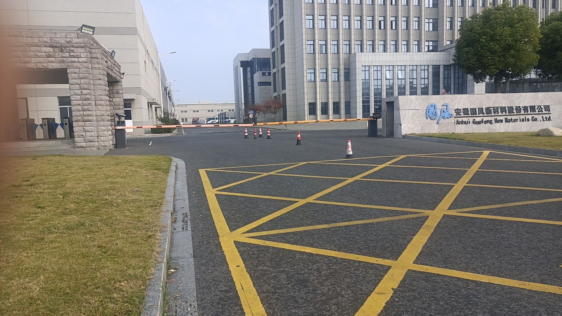 安徽国风新材料股份有限公司