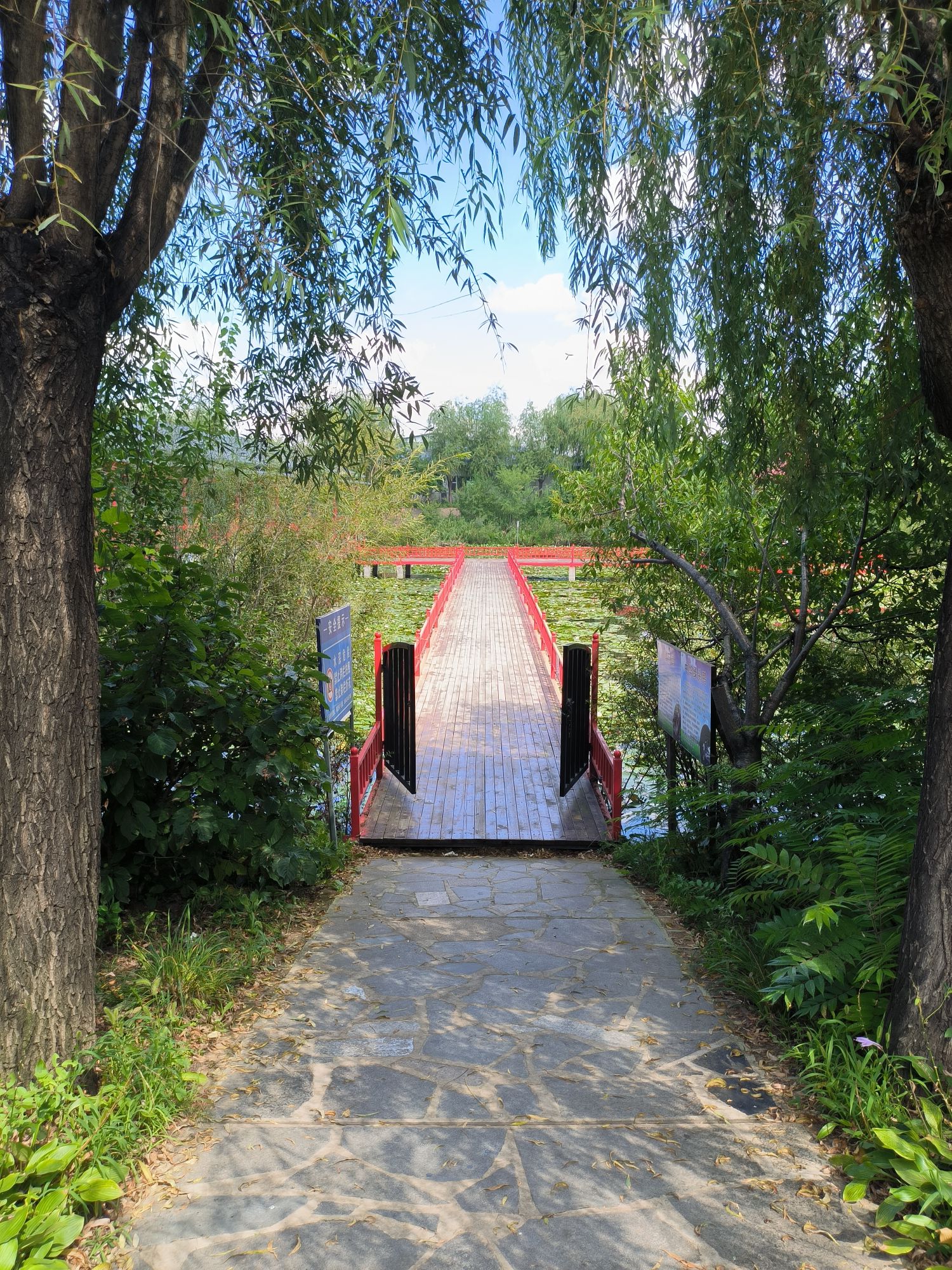 双青湖旅游度假风景区旅行图片 3