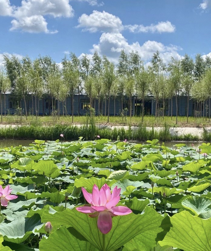双青湖旅游度假风景区