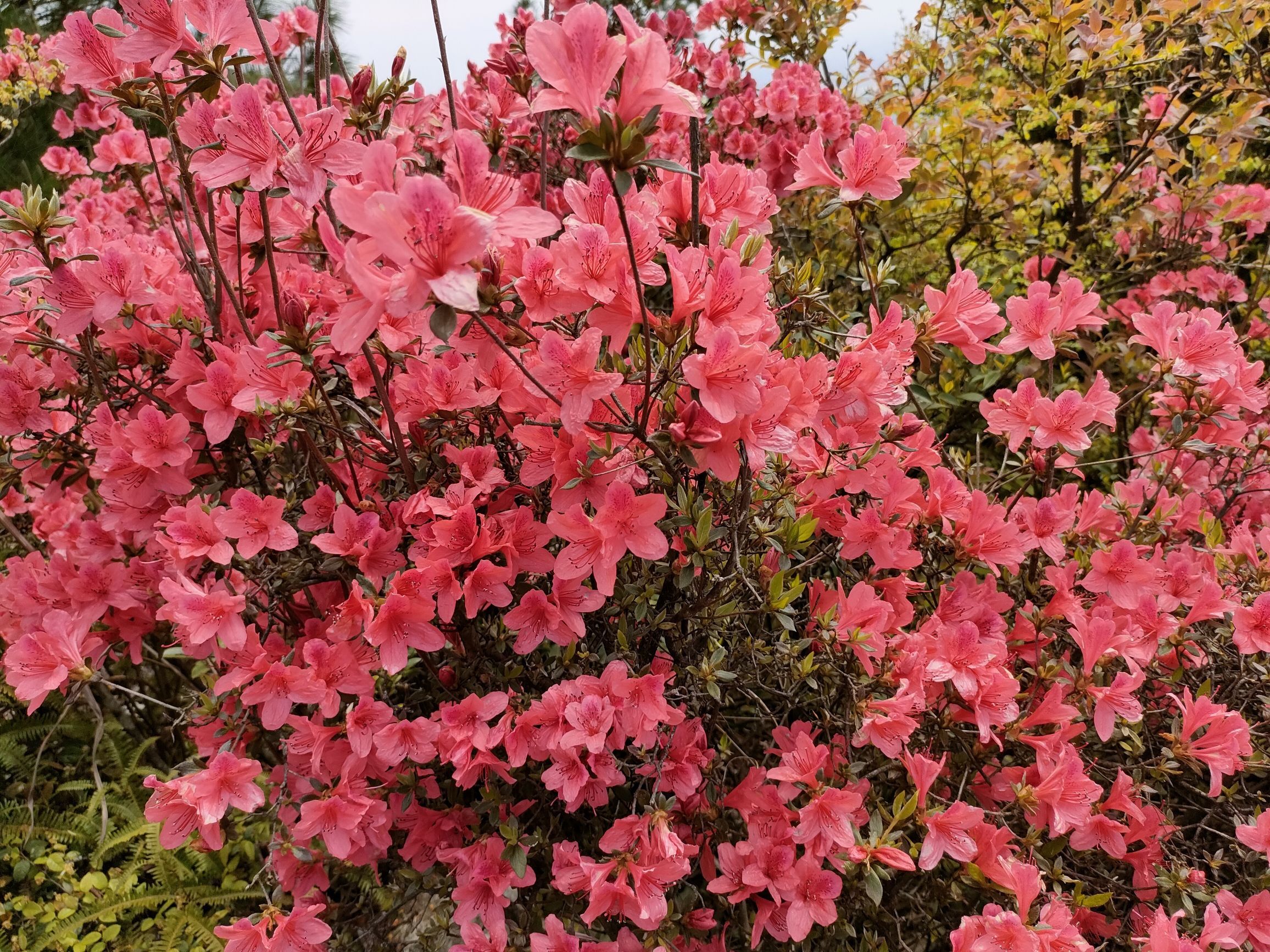 宜山公园旅行图片 3