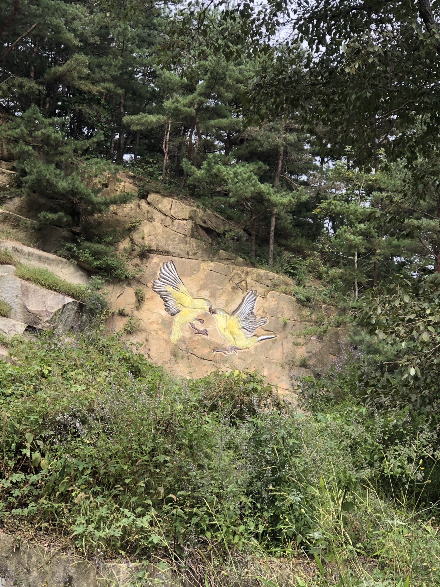 鸡冠山旅行图片 2