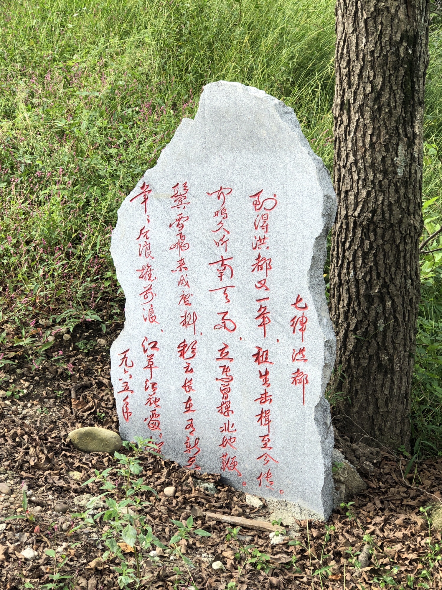 鸡冠山旅行图片 3