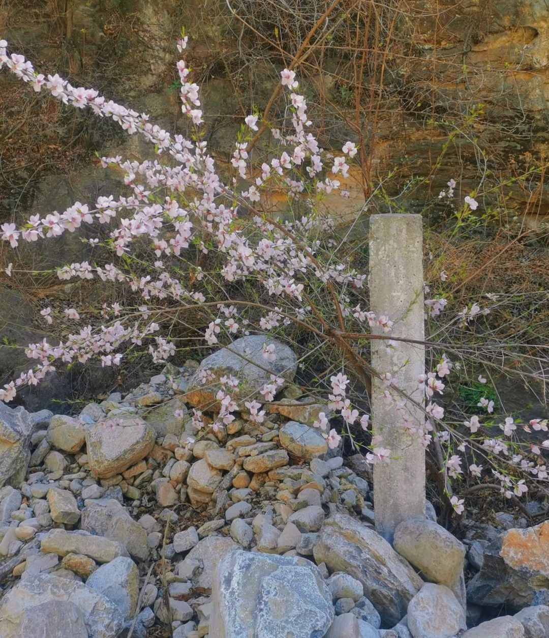 万宝山旅行图片 3