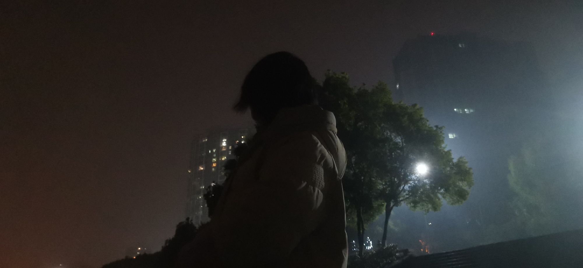 滨江公园旅行图片 3