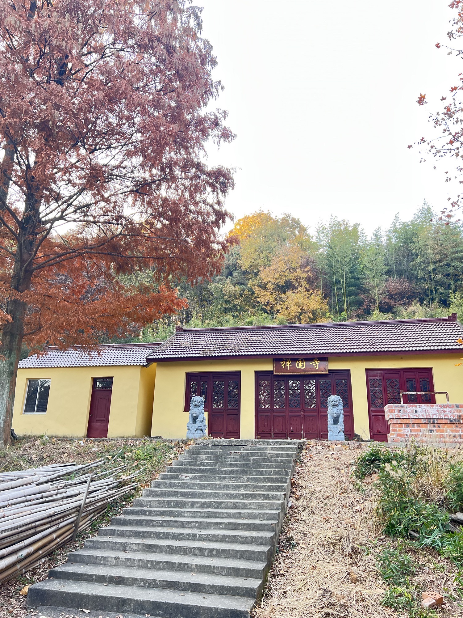 禅国寺实景照片