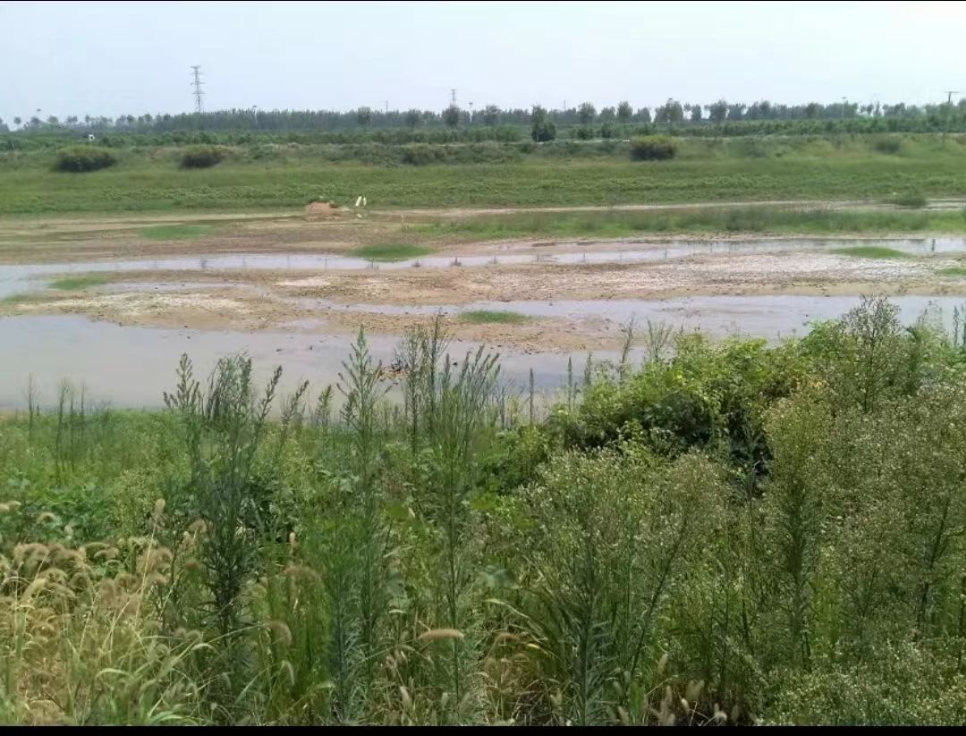 七星湖湿地公园旅行图片 1