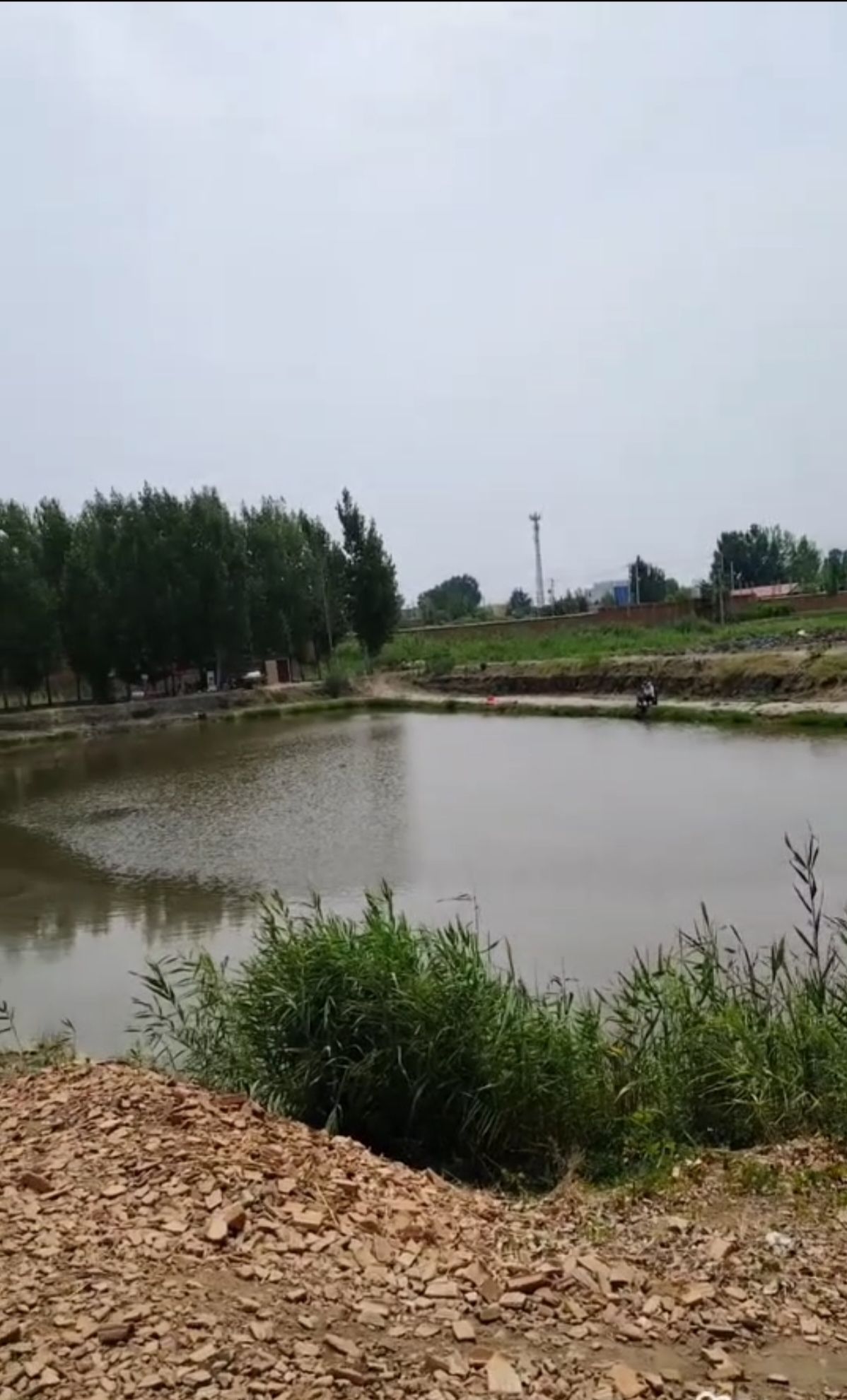 七星湖湿地公园旅行图片 2