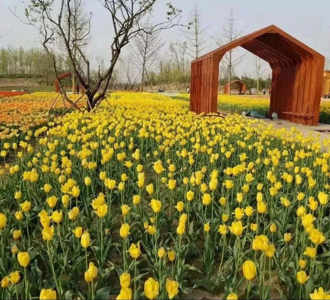 衡水植物园旅行图片 3