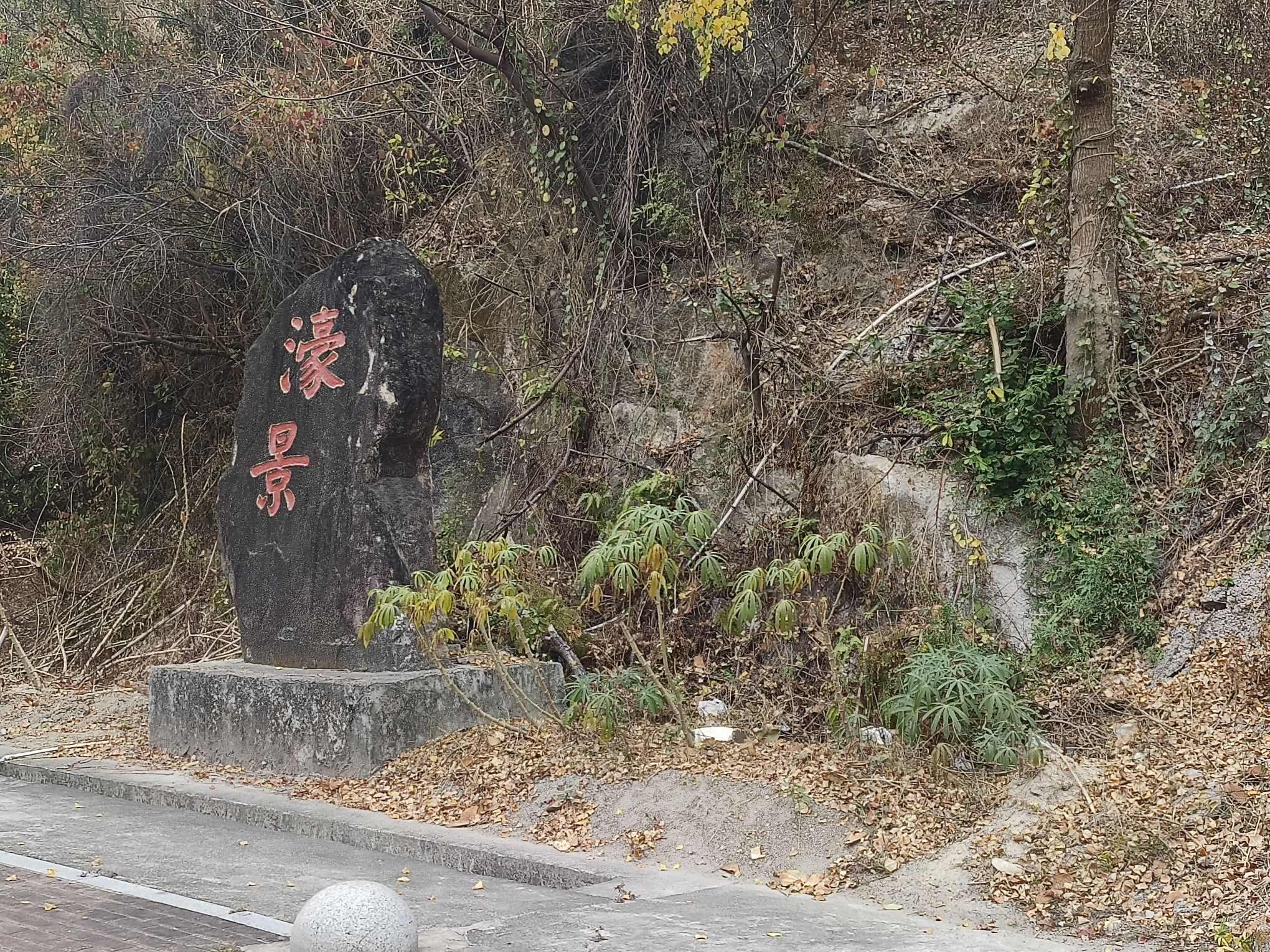 濠景休闲园旅行图片 1