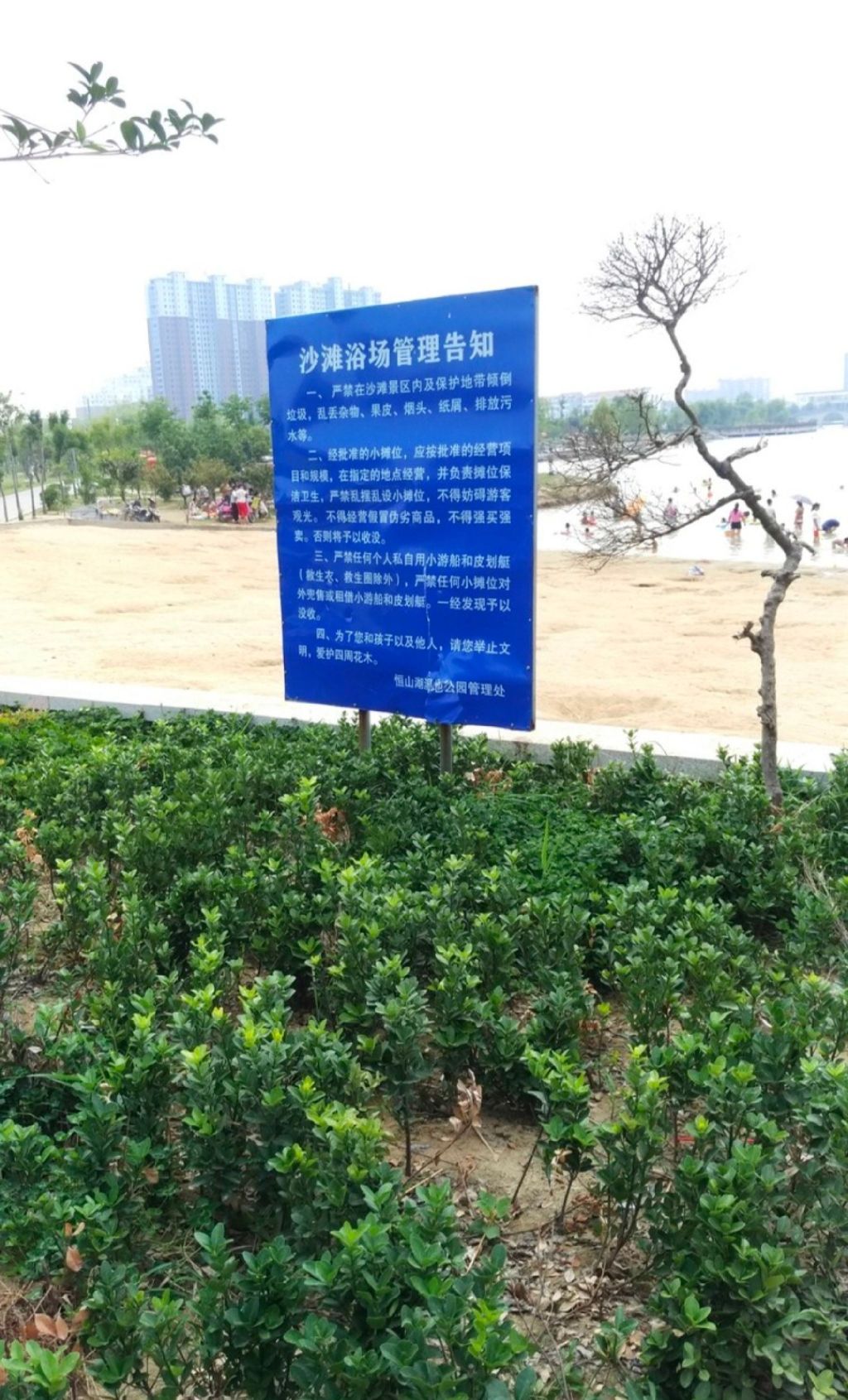 睢县恒山湖湿地公园旅行图片 1
