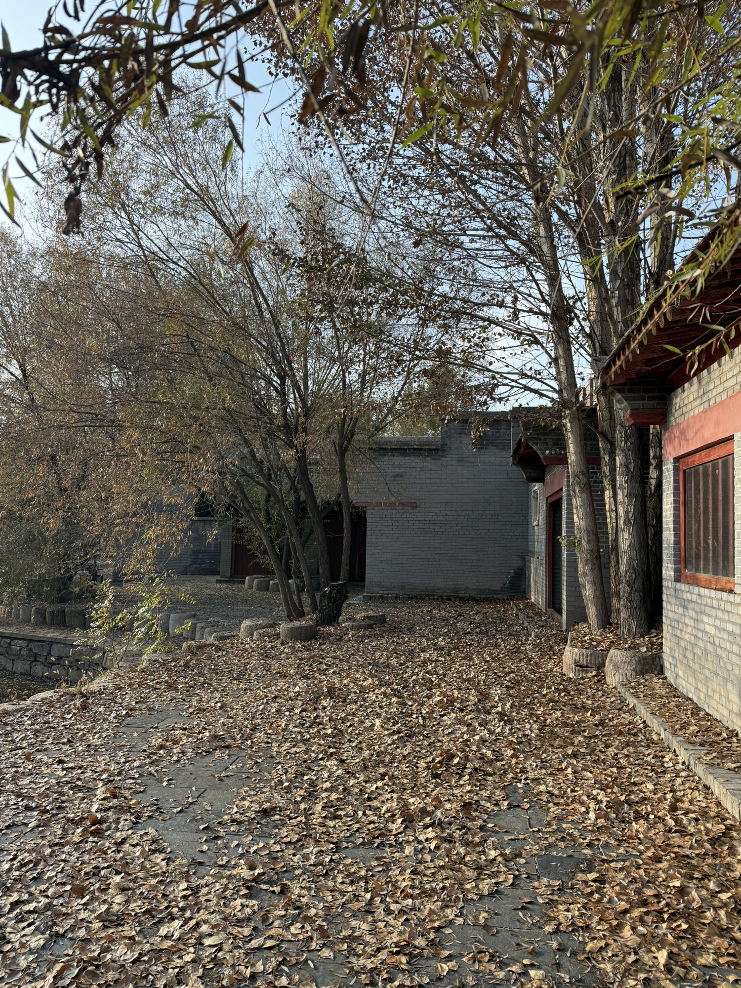 康镇旅行图片 2