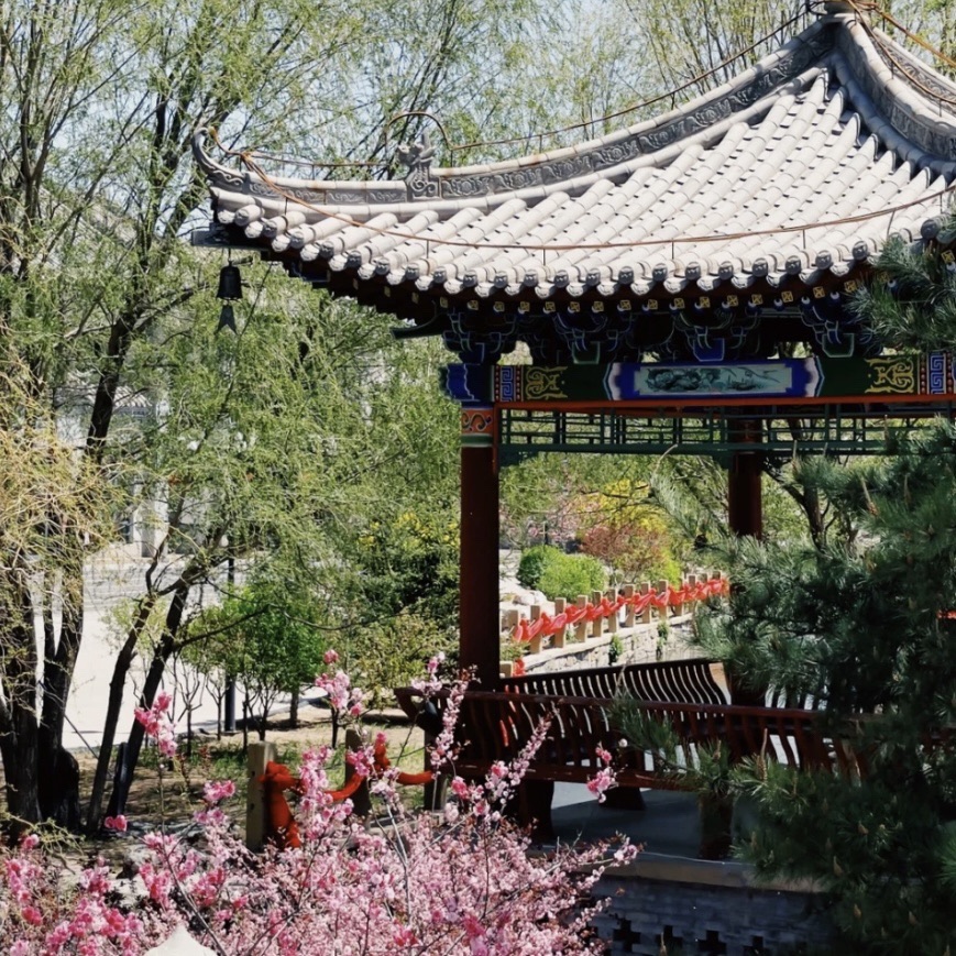 康镇旅行图片 3