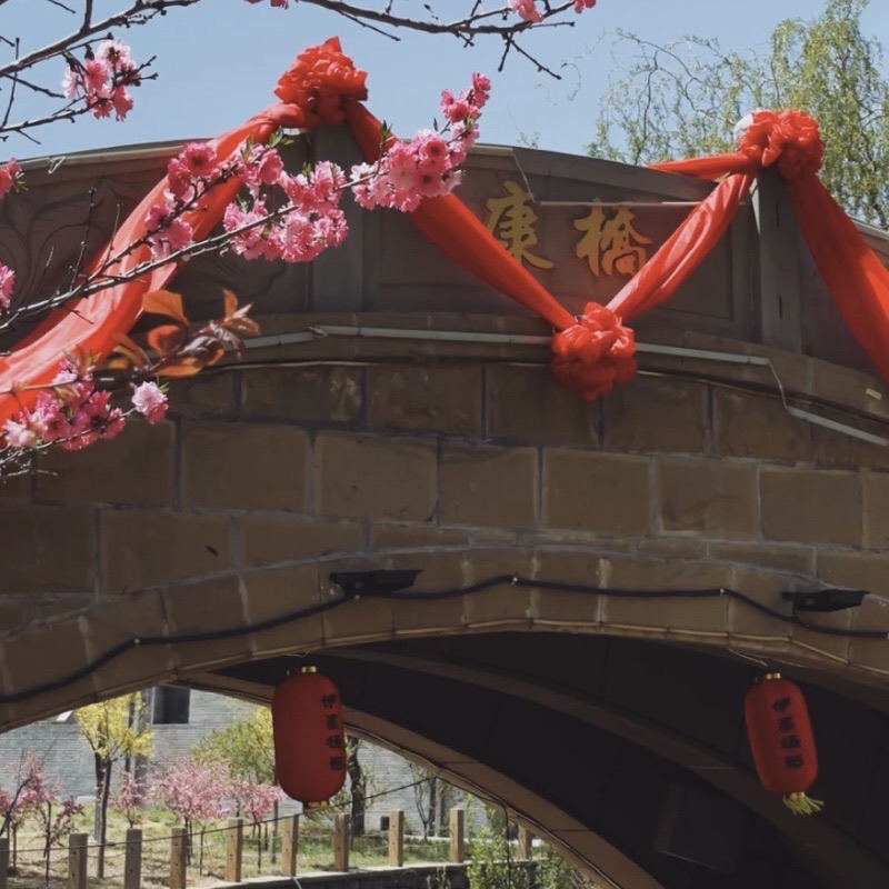 康镇旅行图片 2