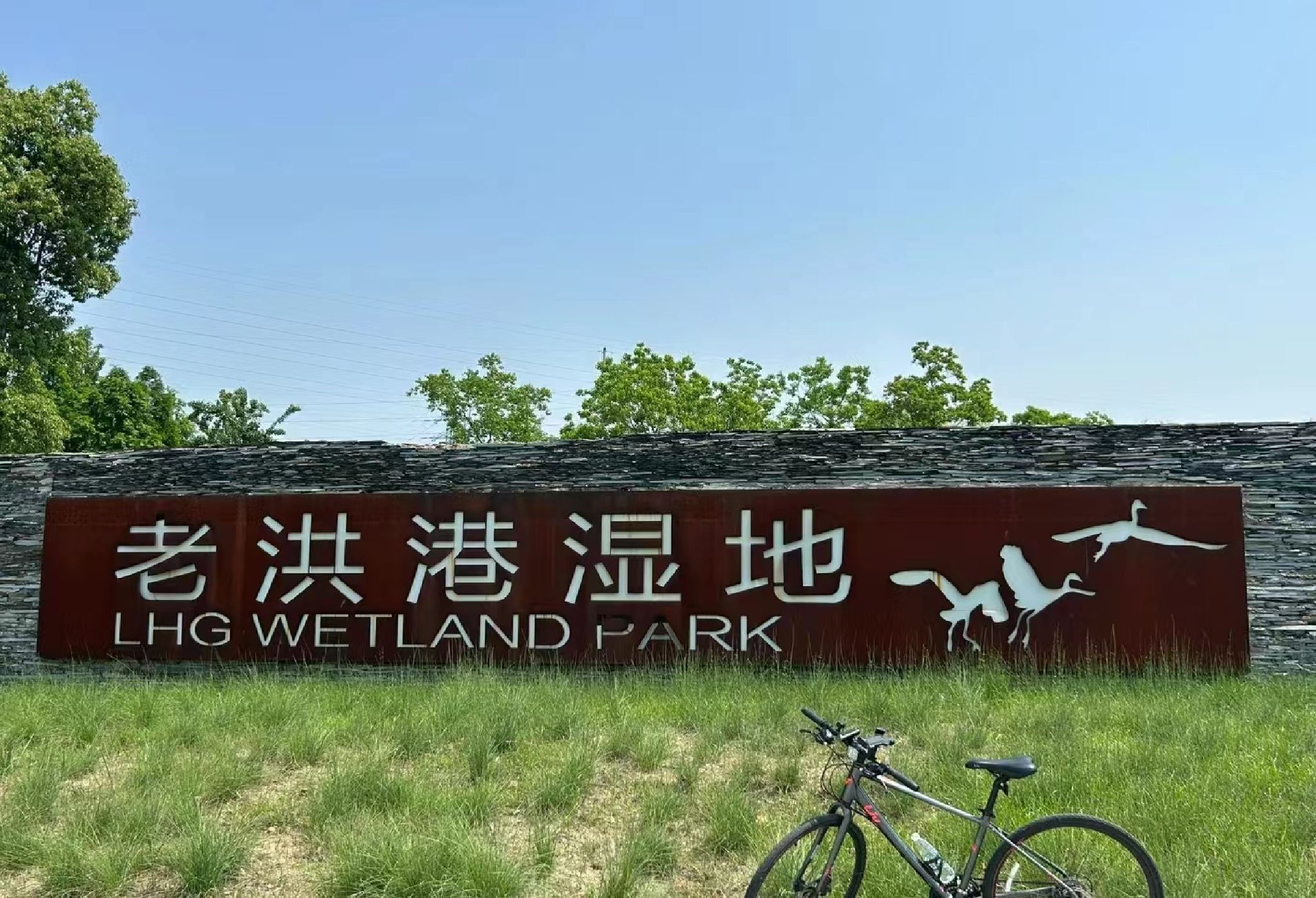 老洪港湿地公园