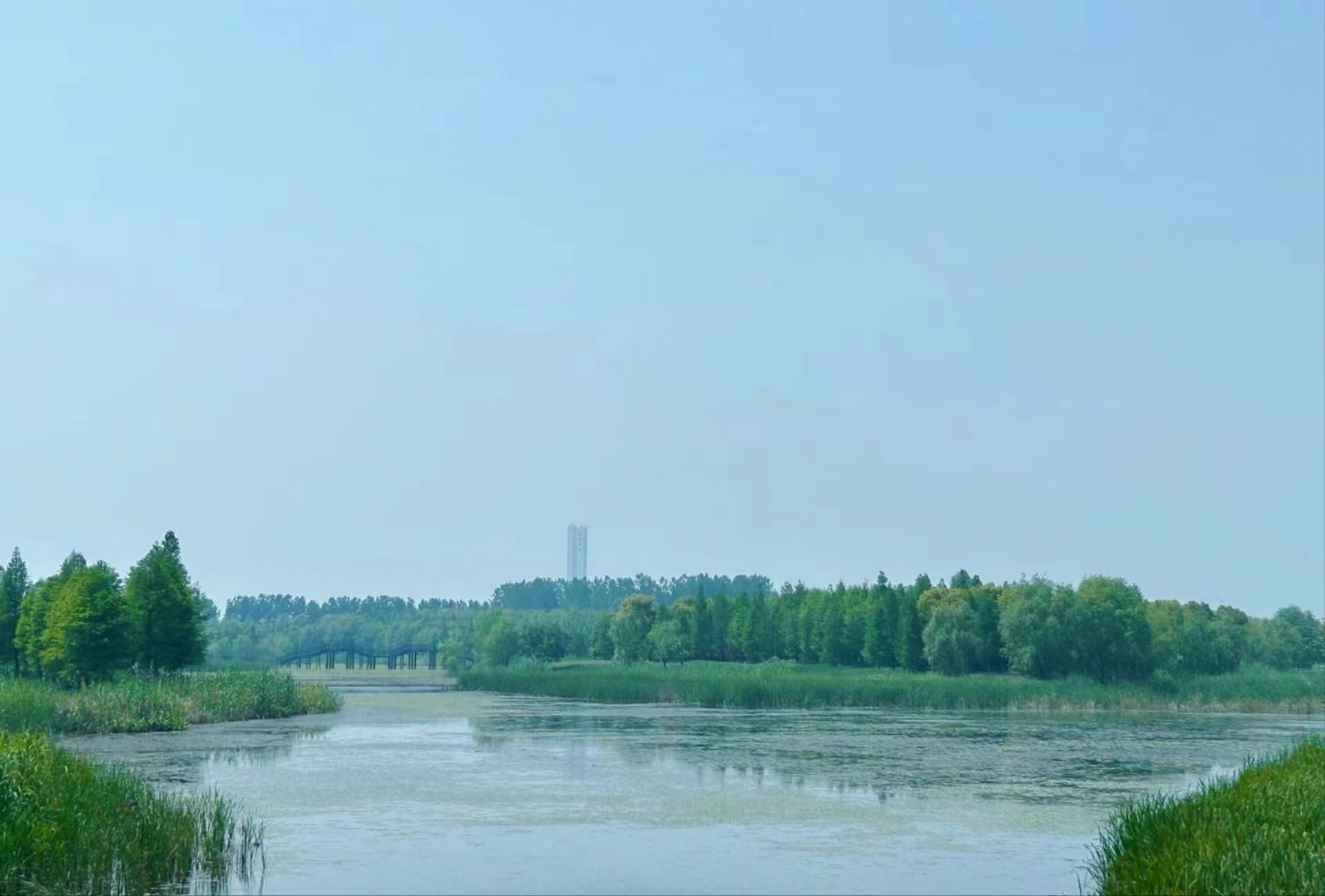 老洪港湿地公园旅行图片 2