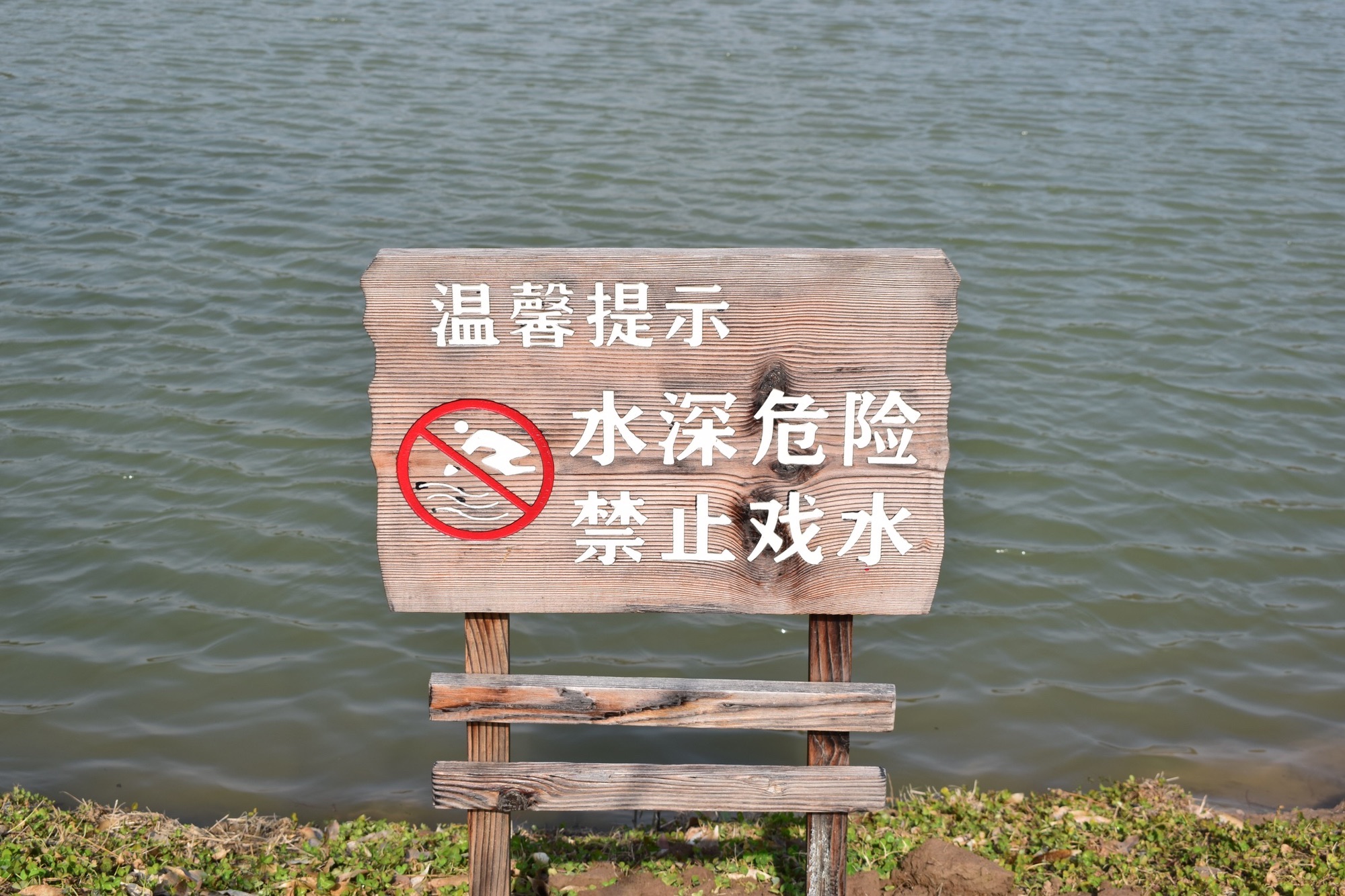 庙镇绿地公园旅行图片 2